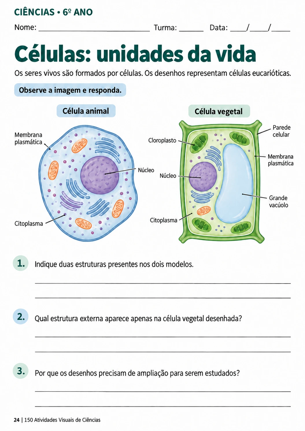 Página de atividade sobre células animais e vegetais