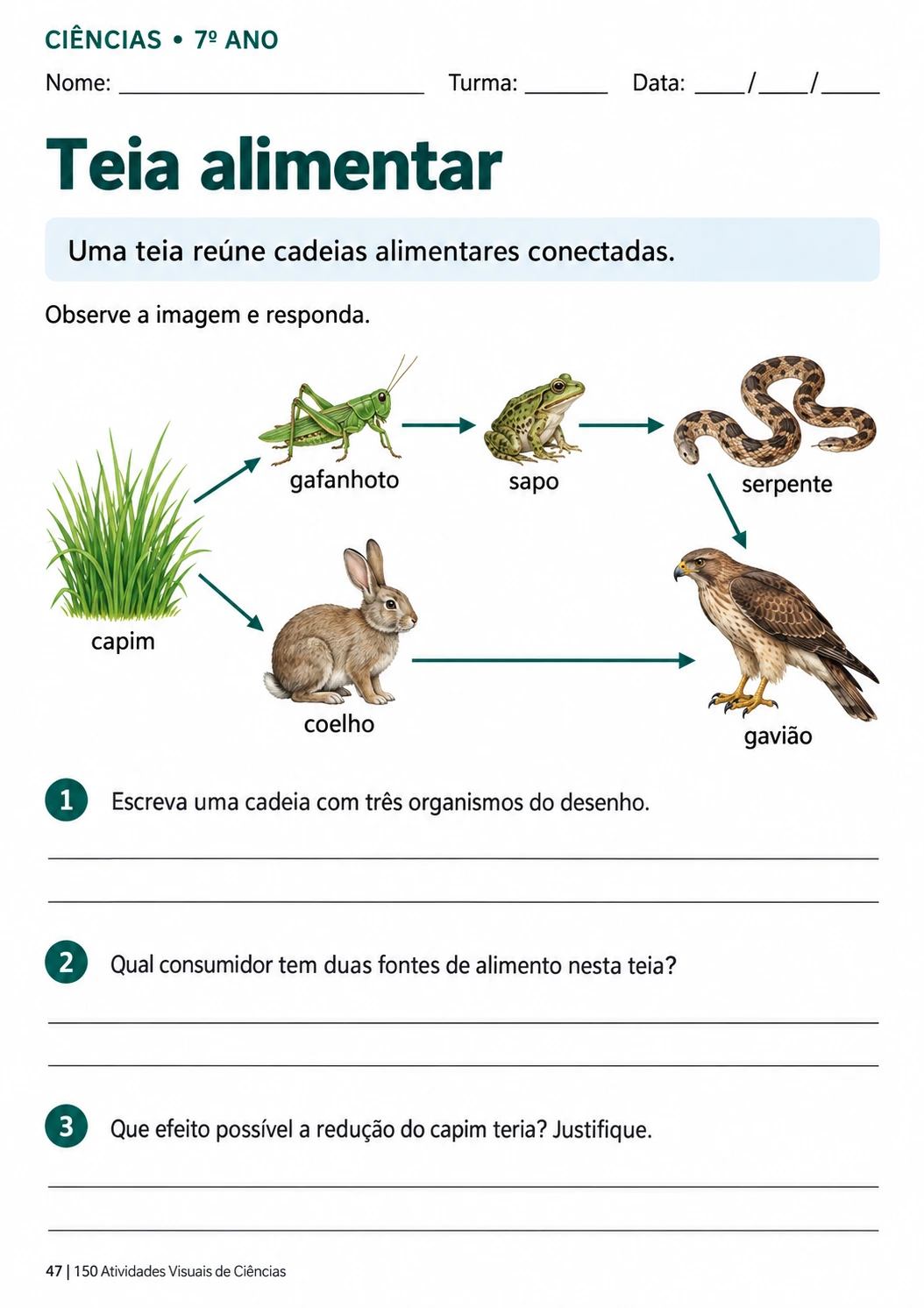 Página de atividade sobre teia alimentar