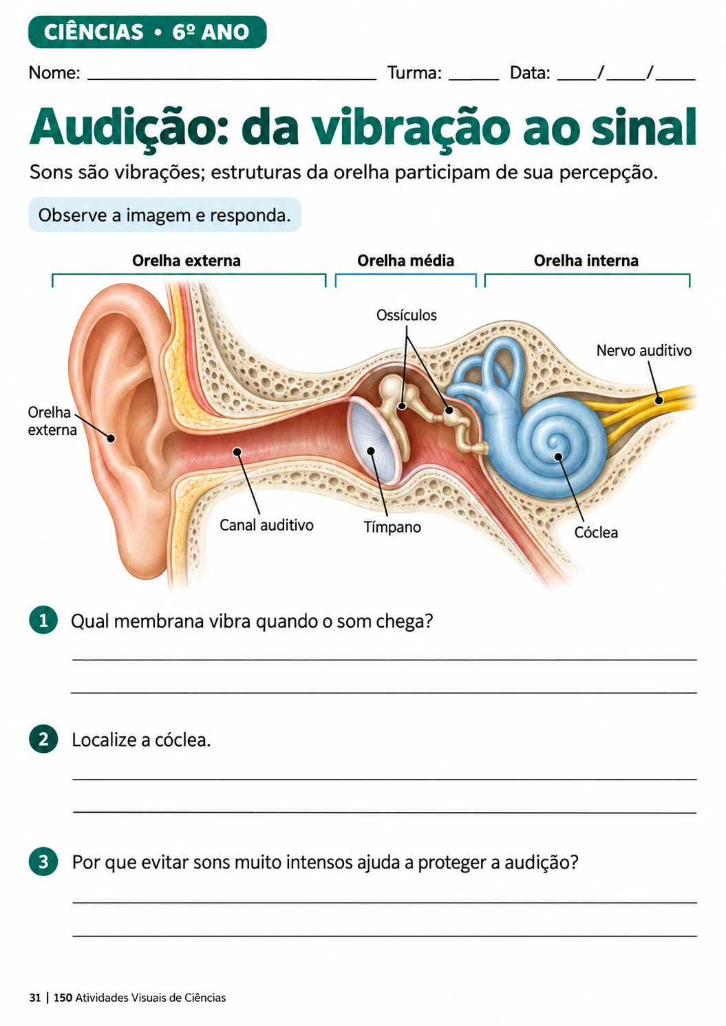 Página de atividade sobre audição e vibração do som